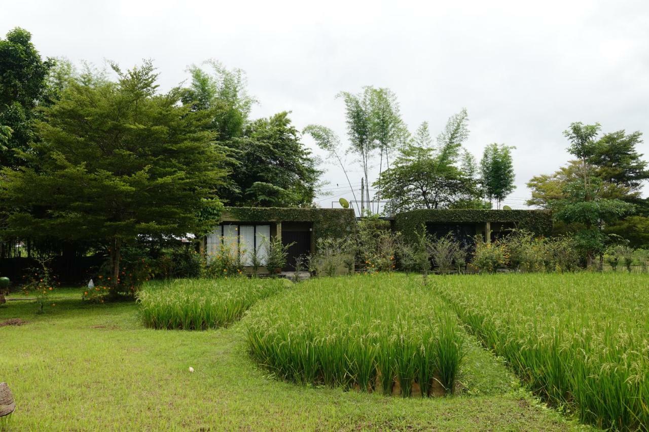 Love Pai Home Ngoại thất bức ảnh