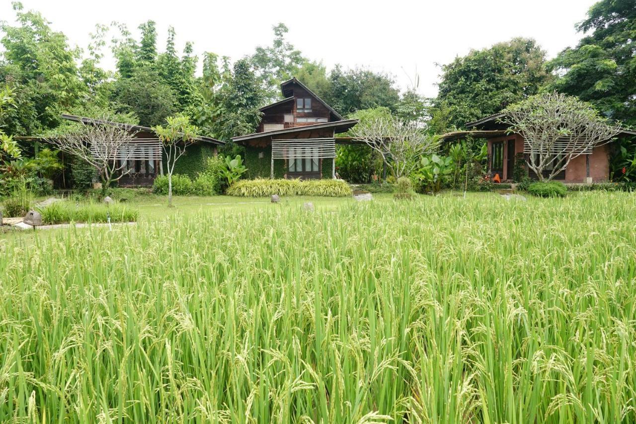 Love Pai Home Ngoại thất bức ảnh