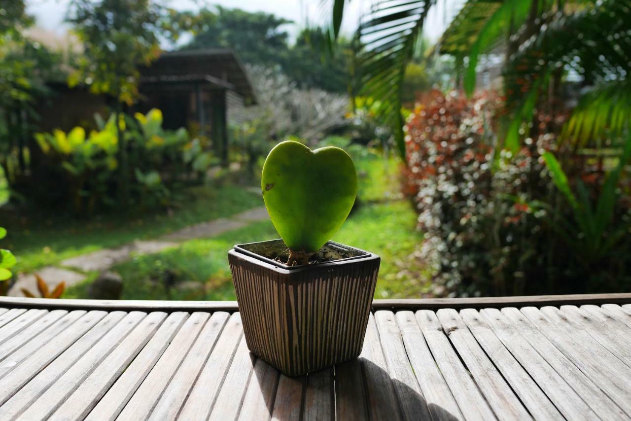 Love Pai Home Ngoại thất bức ảnh